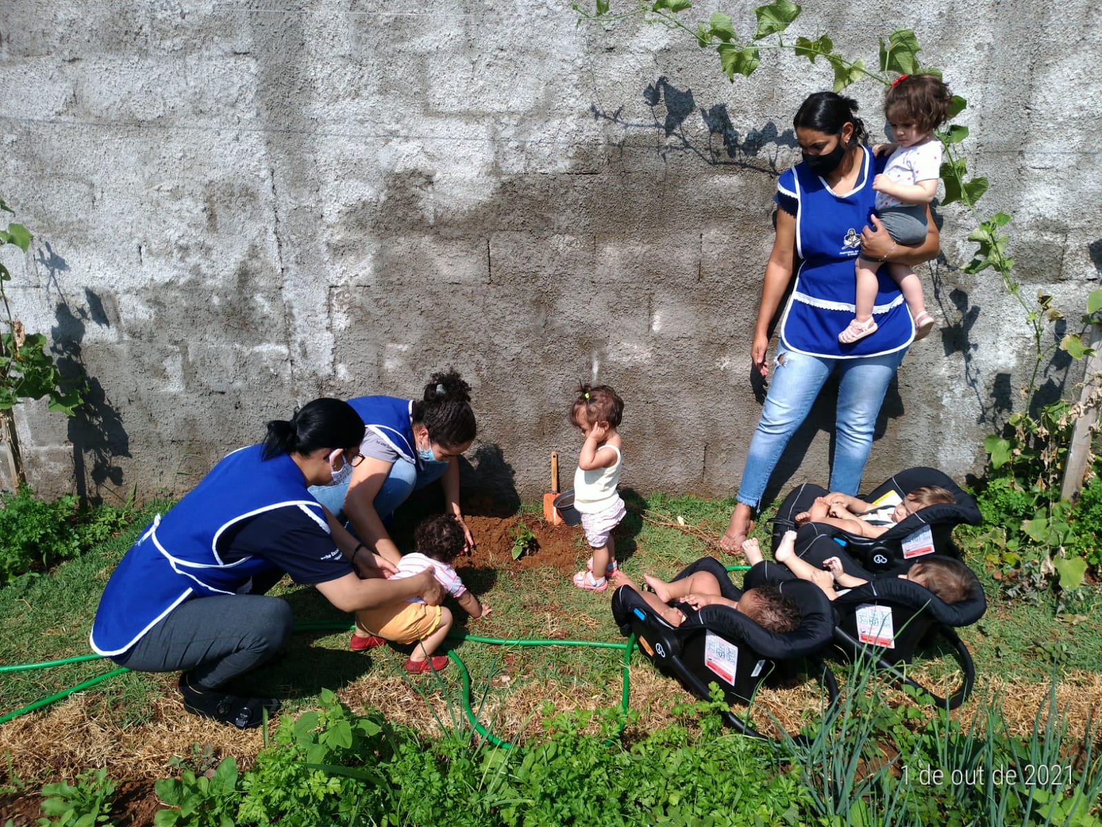 Creche Escola prof. Lener Eustáquio Pereira: interação e aprendizado no início da colheita das hortaliças, na horta da instituição.