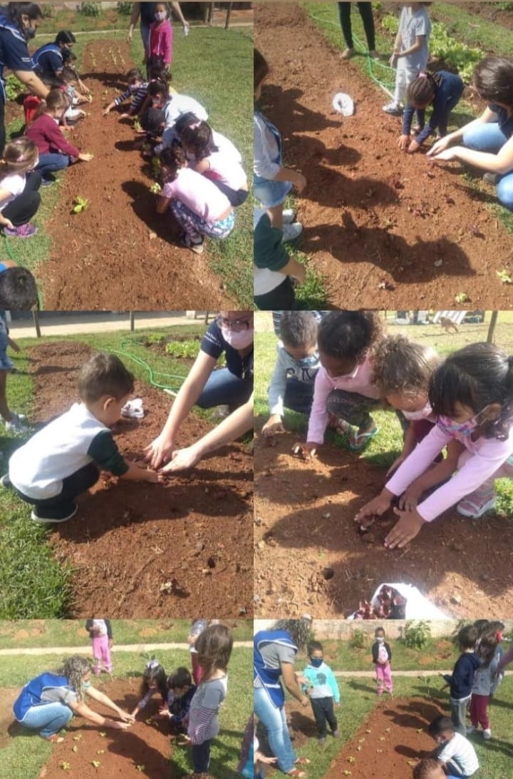 Hoje foi dia de plantio na creche escola Pastoral do Menor prof. Lener Eustáquio Pereira