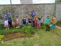 Dia de colheita na horta da creche escola Pastoral do Menor - prof. Lener Eustáquio Pereira (jd. Cambuí)