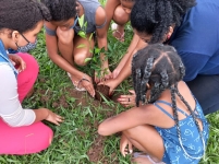 SCFV Paulistano: Plantio de Árvores Frutíferas no Parque Ambiental Lupérico Taveira