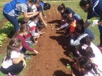 Hoje foi dia de plantio na creche escola Pastoral do Menor prof. Lener Eustáquio Pereira